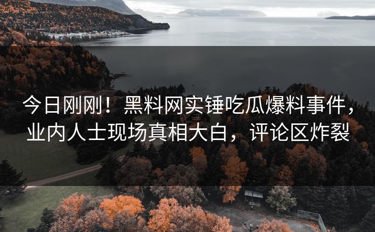 今日刚刚！黑料网实锤吃瓜爆料事件，业内人士现场真相大白，评论区炸裂