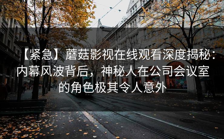 【紧急】蘑菇影视在线观看深度揭秘：内幕风波背后，神秘人在公司会议室的角色极其令人意外