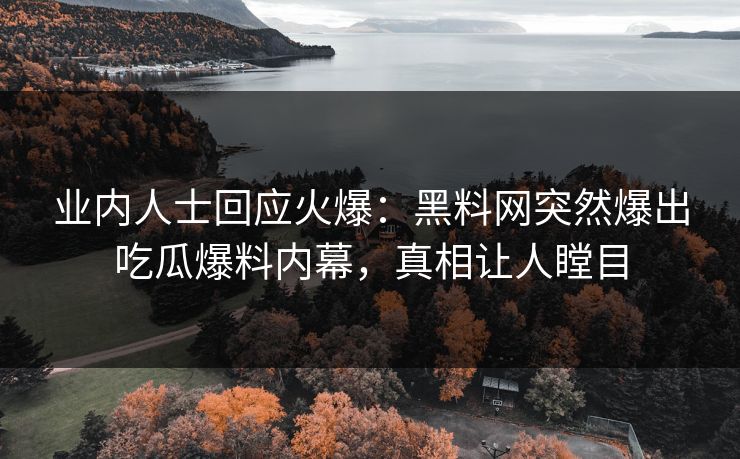 业内人士回应火爆：黑料网突然爆出吃瓜爆料内幕，真相让人瞠目