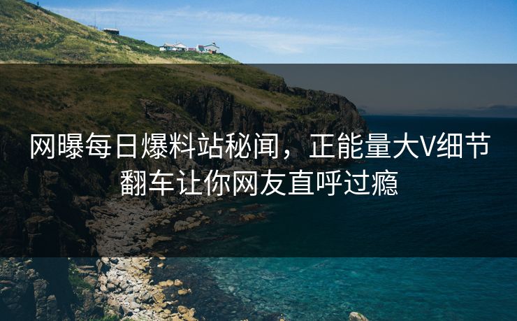 网曝每日爆料站秘闻，正能量大V细节翻车让你网友直呼过瘾