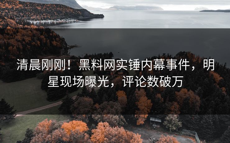 清晨刚刚！黑料网实锤内幕事件，明星现场曝光，评论数破万
