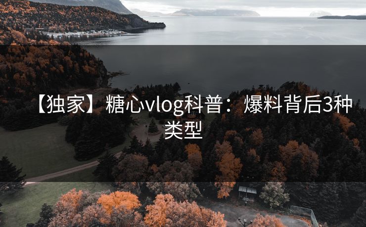 【独家】糖心vlog科普：爆料背后3种类型