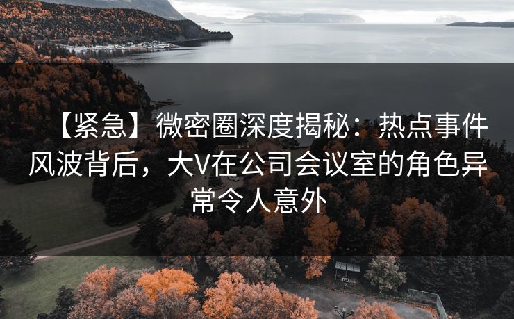 【紧急】微密圈深度揭秘：热点事件风波背后，大V在公司会议室的角色异常令人意外